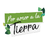 Ad Sticker by Architectural Digest Mexico