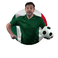 Proud Viva Mexico Sticker by DishLATINO