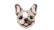 French Bulldog Sticker by zoopeez