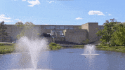 GIF by UMass Amherst