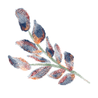 Summer Flowers Sticker by Lug