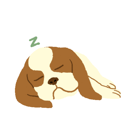 ivy_yunita giphyupload sleep zzz sararobert Sticker