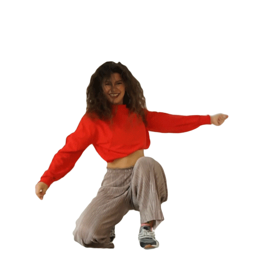 LoftDance giphyupload dance shake loftdance Sticker