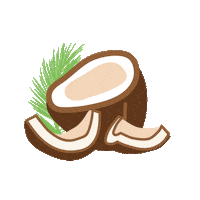coconut Sticker by Vita Coco