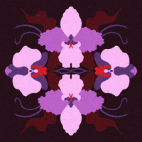 Magic Dark GIF