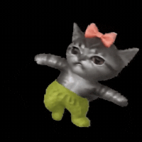 Awkward Cat GIF by POST-WEB