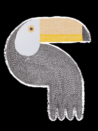 Mycolorfulsquares bird vogel tucan toekan GIF