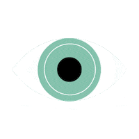 evoicl evo visian icl visian icl implantable contact lens icl surgery Sticker