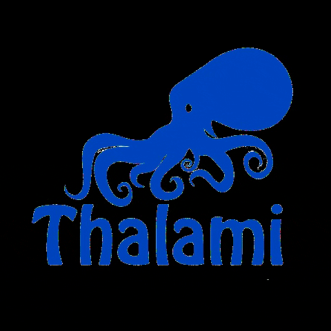 thalamibar giphygifmaker mykonos thalami thalami bar GIF