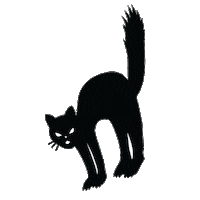 Black Cat Sticker by Harveys Seatbelt Bag