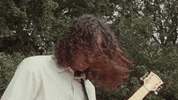 This Is Why GIF by Paramore
