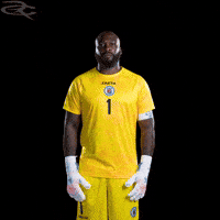 Fifa World Cup Haiti GIF by Respective