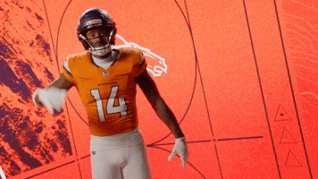 Denver Broncos Football GIF by Broncos
