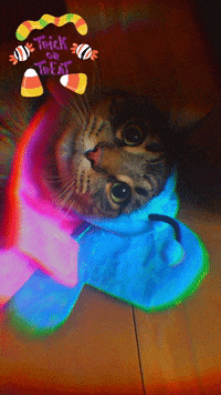 GIF by KPISS.FM