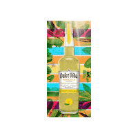 Cinco De Mayo Sticker by Dulce Vida Tequila