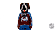 Colorado Avalanche Dancing GIF by NHL