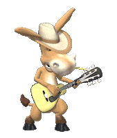 country music design Sticker