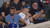 Chicago Cubs Baseball GIF