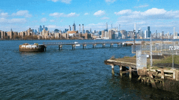 Domino Park 