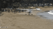 beach plane GIF