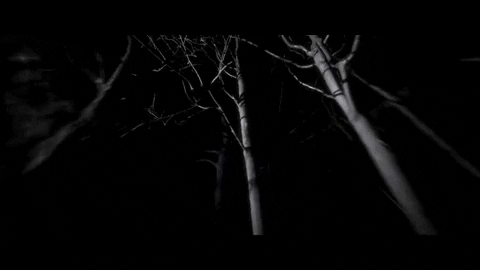 Dark Funeral Night GIF by Century Media Records