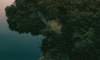 909 GIF by EDEN