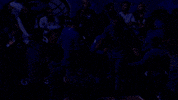 lets go love GIF by NBA