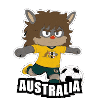 World Cup Football Sticker