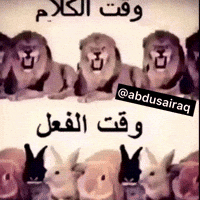 ميمز GIF