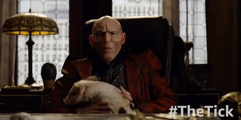 season 1 episode 10 GIF by The Tick