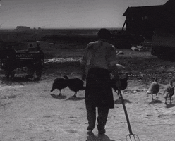 Film Throw GIF