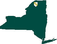 New York State Cu Sticker by Clarkson University
