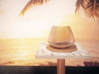 beach rose GIF by hamasakihaus