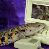 GIF by Production Club