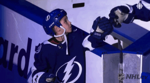 ice hockey GIF by NHL