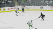 North Dakota Hawks GIF by University of North Dakota