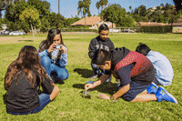 sgvmosquito animal health science education GIF