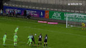Champions League Football GIF by VfL Wolfsburg