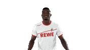 jhon cordoba soccer Sticker by 1. FC Köln