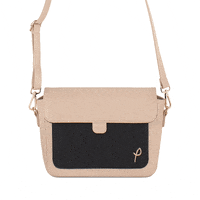 PawoMexico fashion style moda bag GIF
