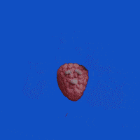 Apple Energy GIF