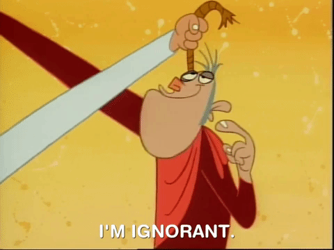 ren and stimpy nicksplat GIF
