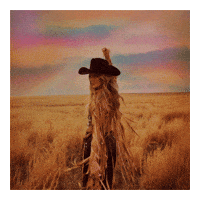 Wild Horses Texas GIF by Lainey Wilson