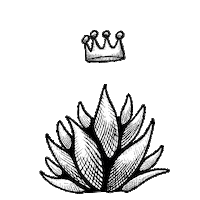 Crown Mezcal Sticker by Santa Sabia Media