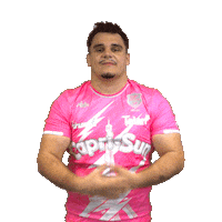 Top 14 Fly Sticker by Stade Français Paris