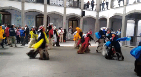 rosytorres giphygifmaker baile carnaval zacatelco GIF