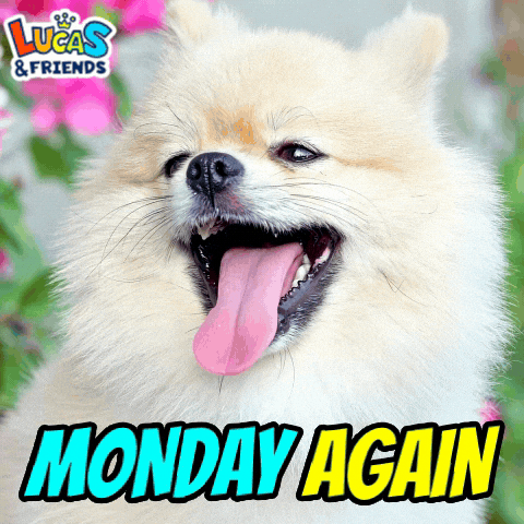 Happy Monday GIF by Lucas and Friends by RV AppStudios