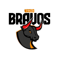 American Football Sport Sticker by Madrid Bravos