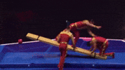 Flip Teamwork GIF by Ringling Bros. and Barnum & Bailey