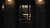 We Did It Win GIF by Apple TV+